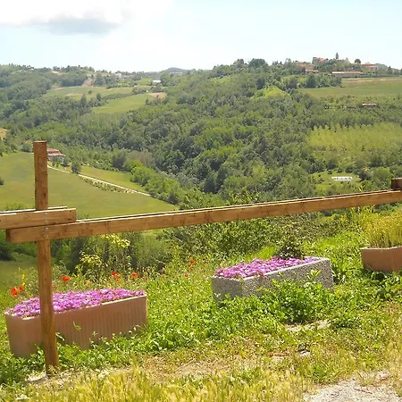 Cascina Ricca Roddino